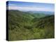 Thomas Divide, Great Smoky Mountains National Park, North Carolina, USA-Adam Jones-Premier Image Canvas