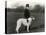 Thomas Fall with Borzoi-Thomas Fall-Premier Image Canvas