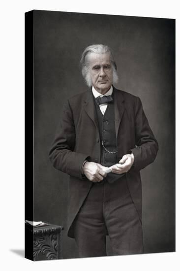 Thomas Henry Huxley (1825-189), English Biologist, 1890-W&d Downey-Premier Image Canvas