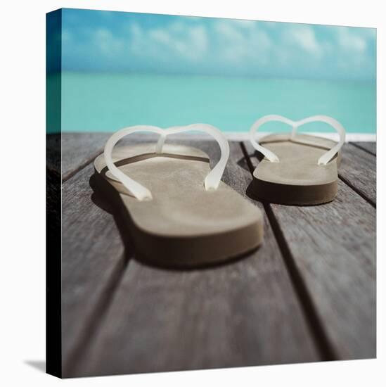 Thong Shoes-null-Premier Image Canvas