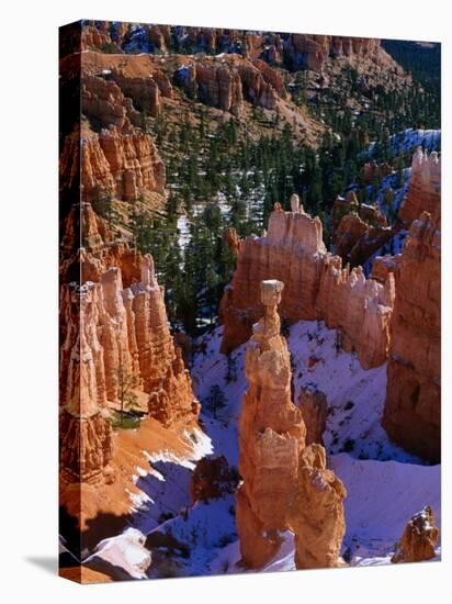 Thor's Hammer During Winter, Yellowstone National Park, USA-Carol Polich-Premier Image Canvas