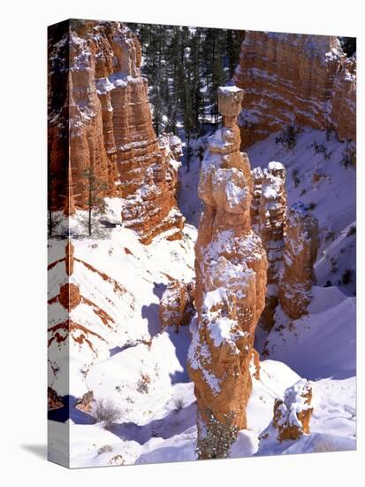 Thor's Hammer Hoodoo in Bryce Canyon National Park-James Randklev-Premier Image Canvas