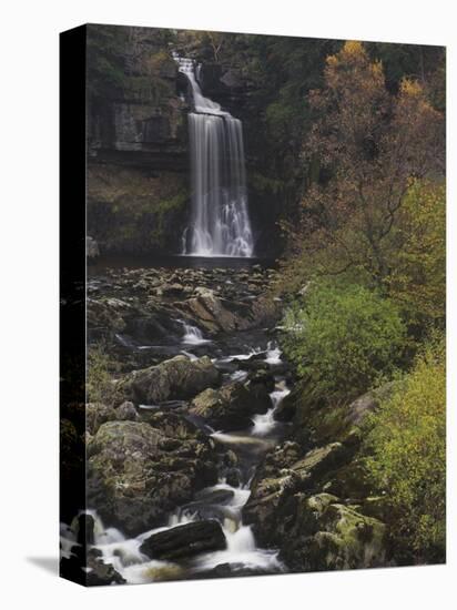 Thornton Force, Ingleton Waterfalls Walk, Yorkshire Dales National Park, Yorkshire-Neale Clarke-Premier Image Canvas