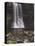 Thornton Force, Ingleton Waterfalls Walk, Yorkshire Dales National Park, Yorkshire-Neale Clarke-Premier Image Canvas