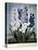 Thornton: Hyacinths-Warner-Premier Image Canvas