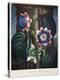Thornton: Passion-Flower-James, The Elder Hopwood-Premier Image Canvas