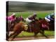 Thoroughbred Horses Racing at Keeneland Race Track, Lexington, Kentucky, USA-Adam Jones-Premier Image Canvas