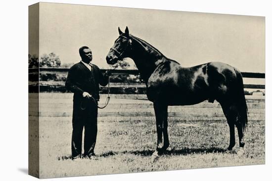 Thoroughbred racehorse, Man O' War, c1920-Unknown-Premier Image Canvas