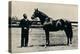 Thoroughbred racehorse, Man O' War, c1920-Unknown-Premier Image Canvas