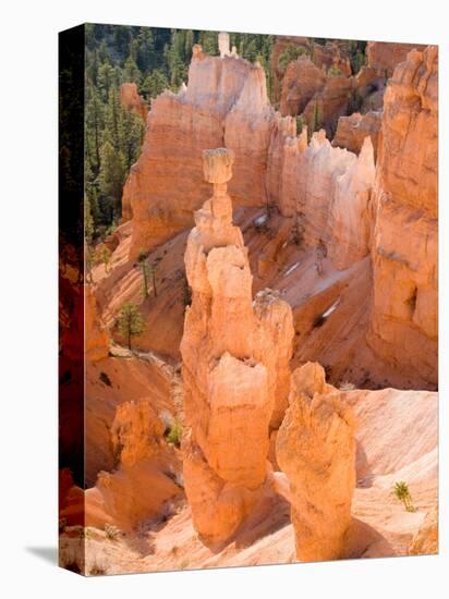 Thors Hammer, Bryce Canyon National Park, Utah, USA-Jamie & Judy Wild-Premier Image Canvas