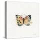 Thoughtful Butterflies II-Katie Pertiet-Stretched Canvas