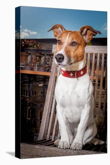 Thoughtful Dog-Javier Brosch-Premier Image Canvas
