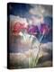 Three Almost Faded Roses in Dark Blue Sky-Alaya Gadeh-Premier Image Canvas