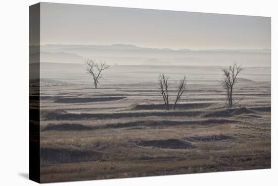 Three Bare Trees on a Hazy Morning, Badlands National Park, South Dakota-James Hager-Premier Image Canvas