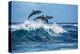Three Beautiful Dolphins Jumping over Breaking Waves. Hawaii Pacific Ocean Wildlife Scenery. Marine-Willyam Bradberry-Premier Image Canvas