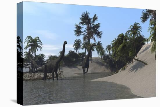 Three Brachiosaurus Dinosaurs Grazing-null-Stretched Canvas