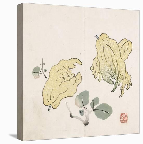 Three Buddha's Hand Fruits-Gao You-Stretched Canvas