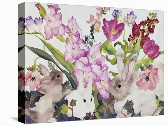 Three Bunnies-Carissa Luminess-Premier Image Canvas