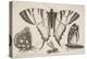 Three Butterflies and a Wasp-Wenceslaus Hollar-Premier Image Canvas