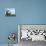 Three Butterflies Flying around Earth Globe-null-Stretched Canvas displayed on a wall