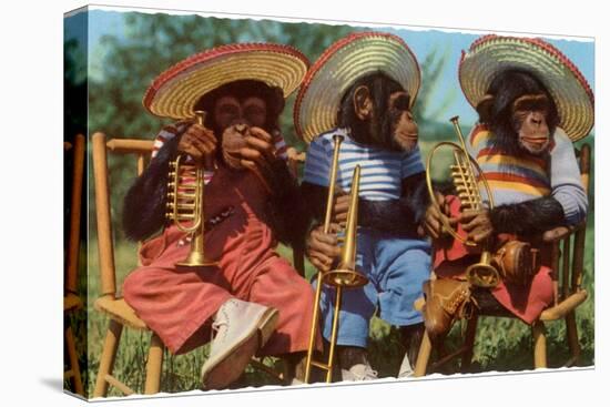 Three Chimpanzees with Brass Instruments and Hats-null-Stretched Canvas