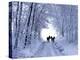 Three Donkeys on Snow-Covered Forest Way-Harald Lange-Premier Image Canvas