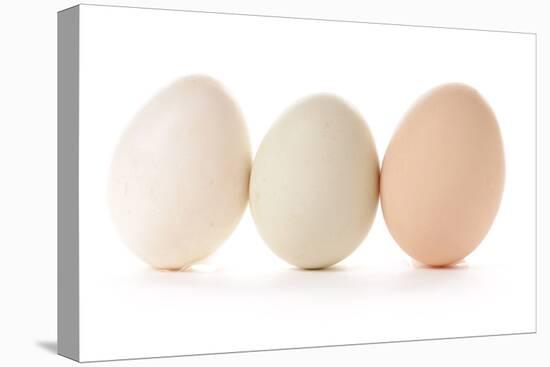 Three Eggs on White Background-Matt Freedman-Premier Image Canvas