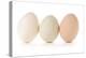 Three Eggs on White Background-Matt Freedman-Premier Image Canvas