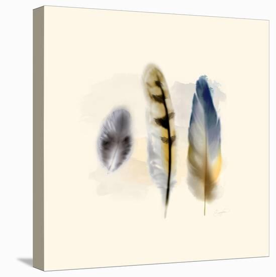 Three Feather Study 2-Evangeline Taylor-Stretched Canvas