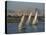 Three Feluccas Sailing on the River Nile, Egypt, North Africa, Africa-Thouvenin Guy-Premier Image Canvas