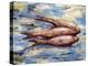 Three Fish-Tilly Willis-Premier Image Canvas