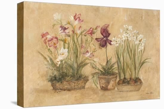 Three Floral Baskets-Cheri Blum-Stretched Canvas