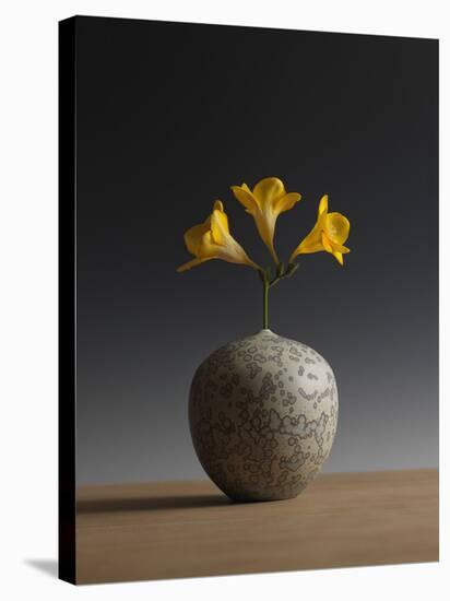 Three Freesia Blossoms-Geoffrey Ansel Agrons-Premier Image Canvas
