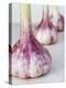 Three Fresh Garlic Bulbs-Linda Burgess-Premier Image Canvas