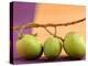 Three Green Mangos on a Branch-Luzia Ellert-Premier Image Canvas