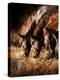 Three Horses Drinking in Dusky Light-Sheila Haddad-Premier Image Canvas