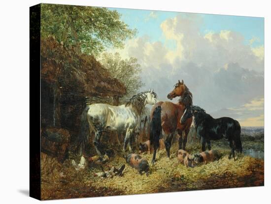 Three Horses with Pigs-John Frederick Herring Jnr-Premier Image Canvas