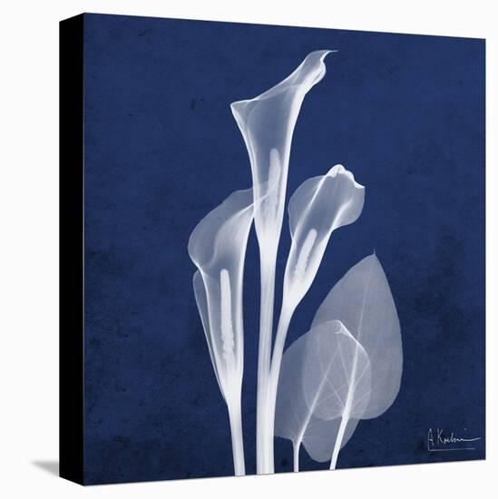 Three Indigo Calla Lilies-Albert Koetsier-Stretched Canvas