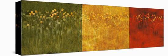 Three Jack Poppies-null-Stretched Canvas