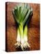 Three Leeks on Wooden Background-null-Premier Image Canvas