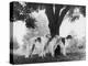 Three Mythe Borzois Belonging to Miss E.M. Robinson Standing Under a Tree-Thomas Fall-Premier Image Canvas