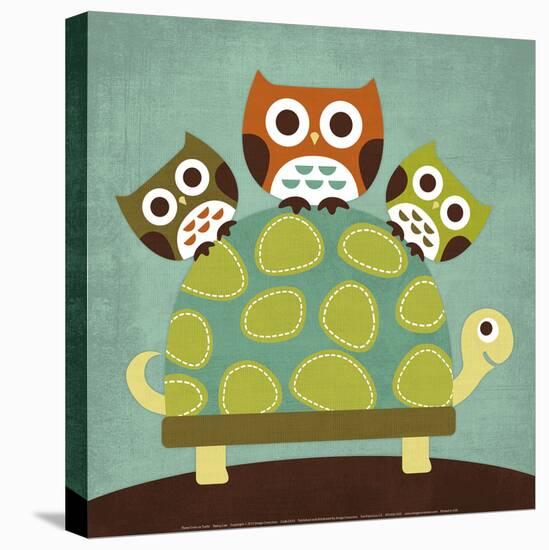 Three Owls on Turtle-Nancy Lee-Stretched Canvas