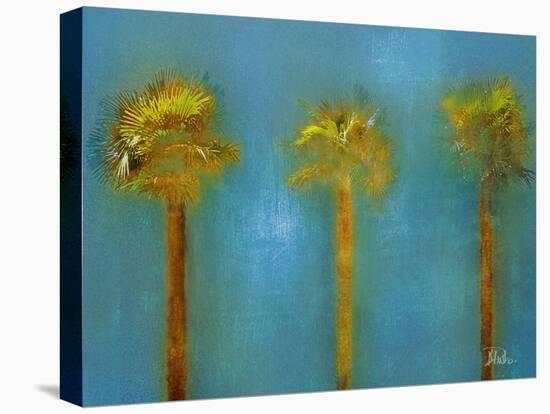 Three Palms I-Patricia Pinto-Stretched Canvas