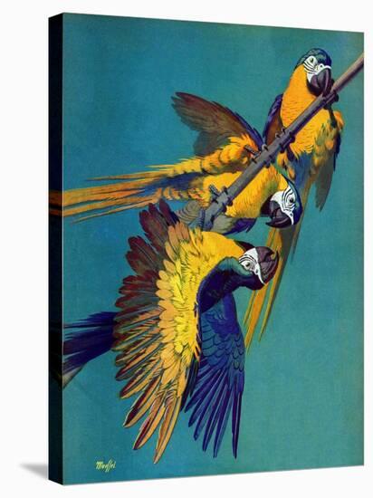 "Three Parrots,"March 11, 1939-Julius Moessel-Premier Image Canvas