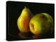 Three Pears-Terri Hill-Premier Image Canvas