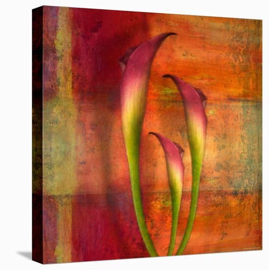 Three Pink Lilies-Robert Cattan-Premier Image Canvas