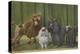 Three Poodle Specimens-Louis Agassiz Fuertes-Premier Image Canvas