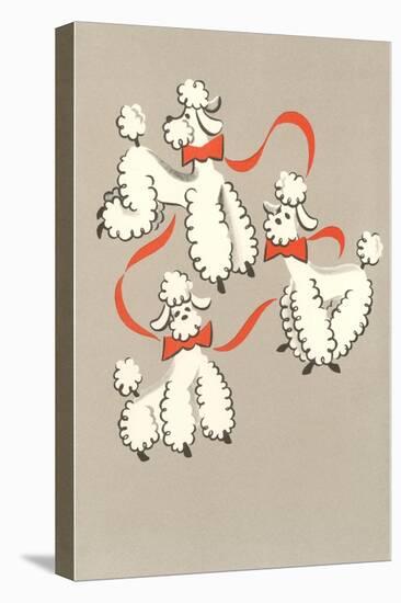 Three Poodles Caricature-null-Stretched Canvas