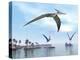 Three Pteranodons Flying over Landscape with Hills, Palm Trees and Water-null-Stretched Canvas
