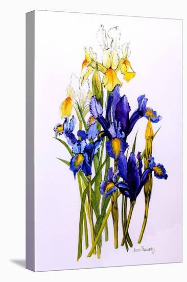 Three Purple and Two Yellow Iris with Buds, 2010-Joan Thewsey-Premier Image Canvas